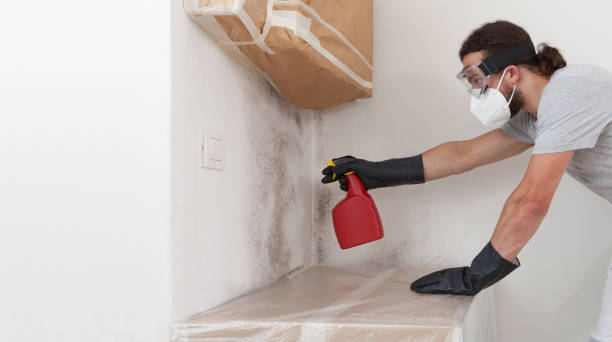 Professional Bathroom Mold Removal technician working in Coal Township, PA