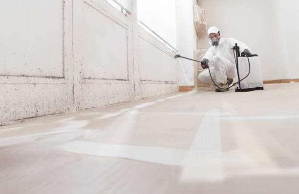 24/7 Emergency Bathroom Mold Removal experts in Coal Township, PA