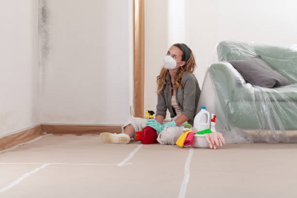 Reliable Bathroom Mold Removal contractor in Coal Township, PA by WQB Mold Removal